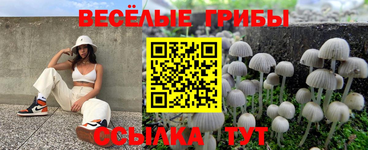 Псилоцибиновые грибы мицелий  Галлюциногенные грибы Psilocybine cubensis  Вход с VPN  Новосибирск 